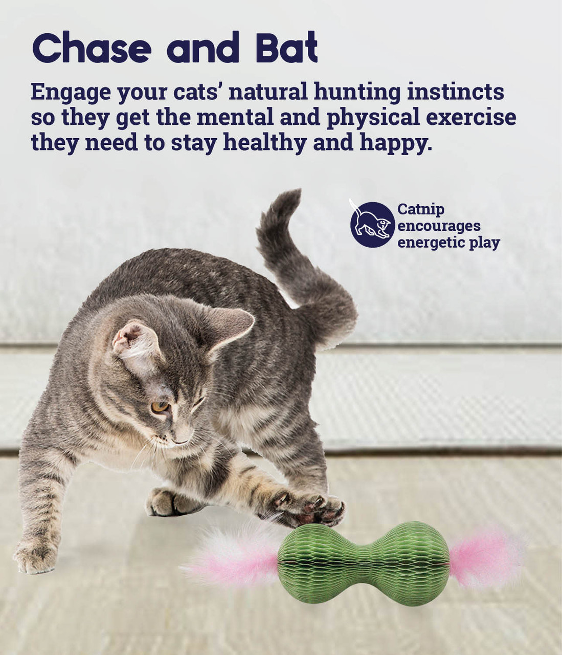 5c1c249d07206c669e6622211873337dd7d13e5d__67120