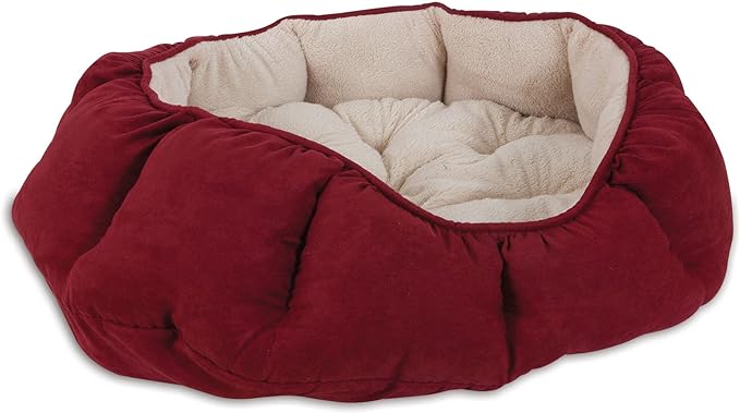 71I7RrX7BuL._AC_SX679_