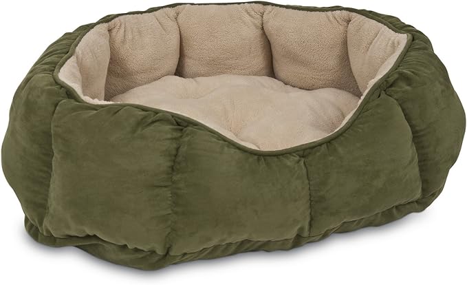 71xKIsBaxCL._AC_SX679_