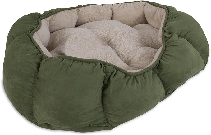 81Msj1hwoEL._AC_SX679_