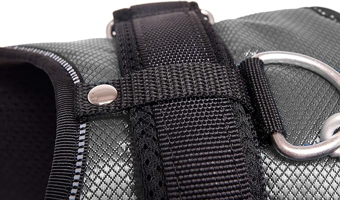 81iI1-YNz+L._AC_SX679_