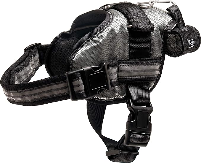 81nfVwtak7L._AC_SX679_