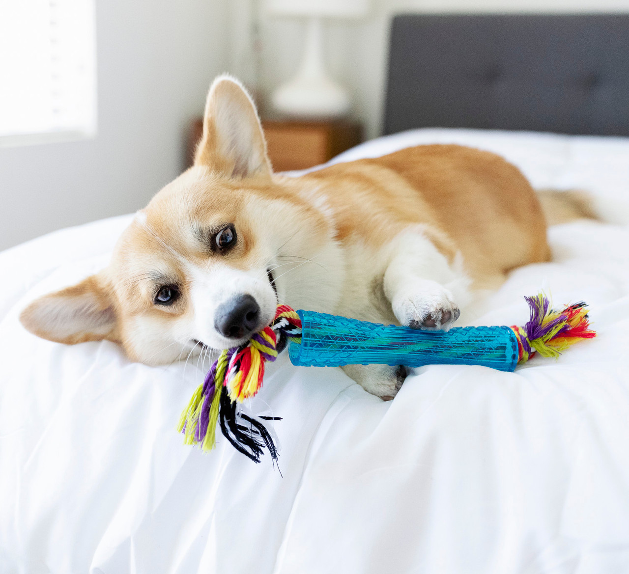 ordmkc8jhuxmglklc2dr__69048